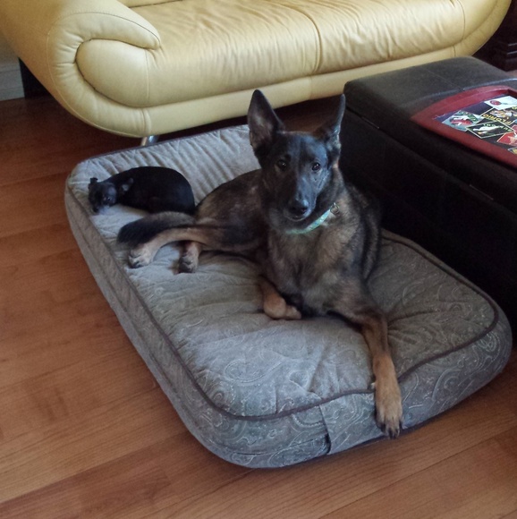 Meet your Posher, Jessica - Picture 4 of 4